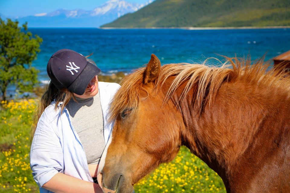 Tromsø: Lyngen Horseback Riding Experience - Booking and Availability Information