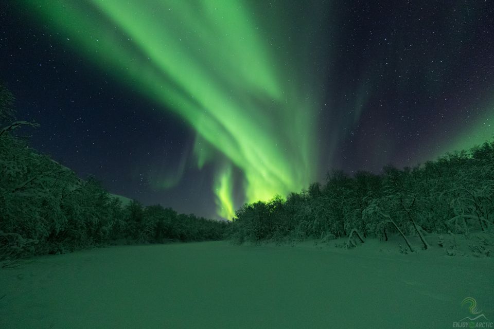 Tromsø: Northern Lights Trip With Campfire and Snacks - Meeting Point and Pickup