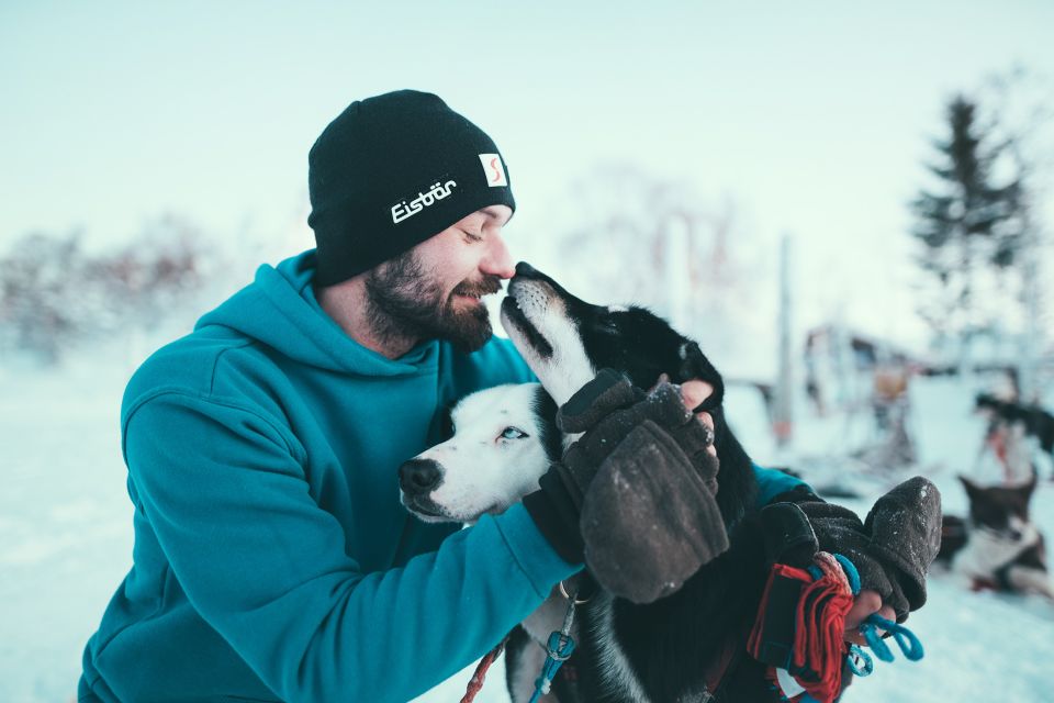 Tromsø: Self-Drive Husky Dog Sledding Adventure - Meeting Point Details