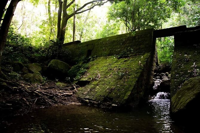 Tropical Rain Forest Explorer In St. Kitts - Volcanic Rock Discoveries