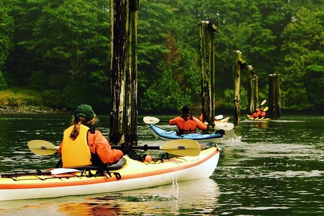 Ucluelet Harbour Tour - Key Points