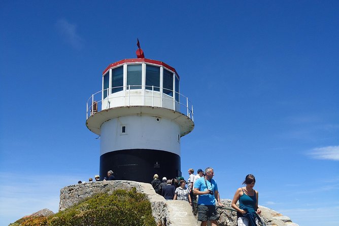 Ultimate Cape Point Tour From Cape Town - Full Day - Additional Information