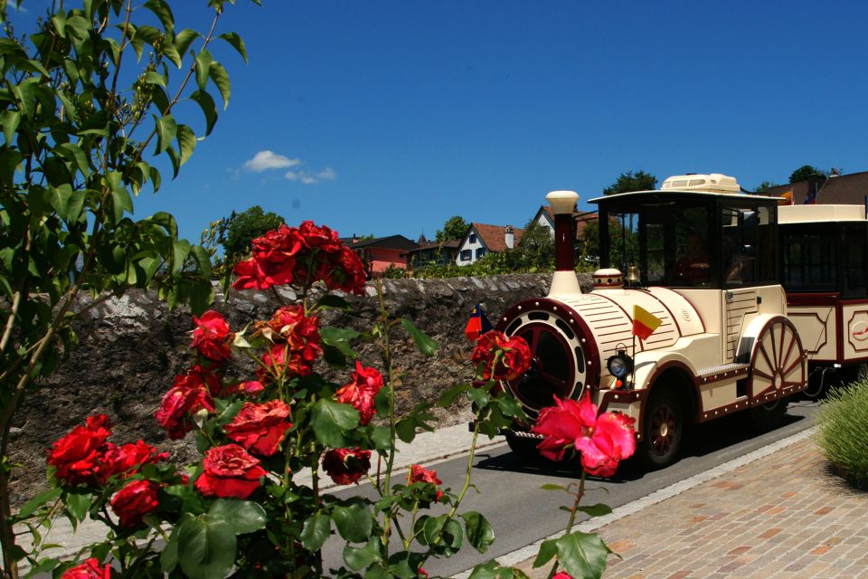 Vaduz: City Train Tour - Booking Information