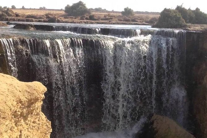 Valley of Whales and Wadi El Rayan Water Falls Day Tour From Cairo - Departure and Return