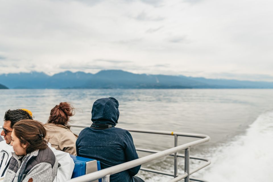 Vancouver, BC: Whale Watching Tour - Pricing and Availability