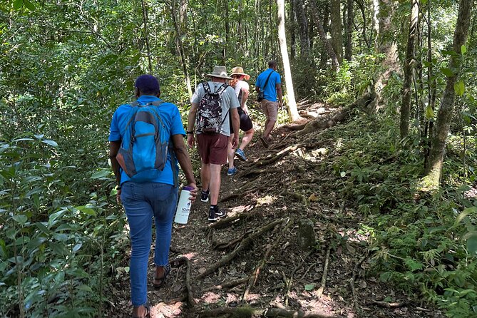 Vermont Nature Trail With Topdawg Taxi and Tours - Swimming and Snorkeling at the Beach