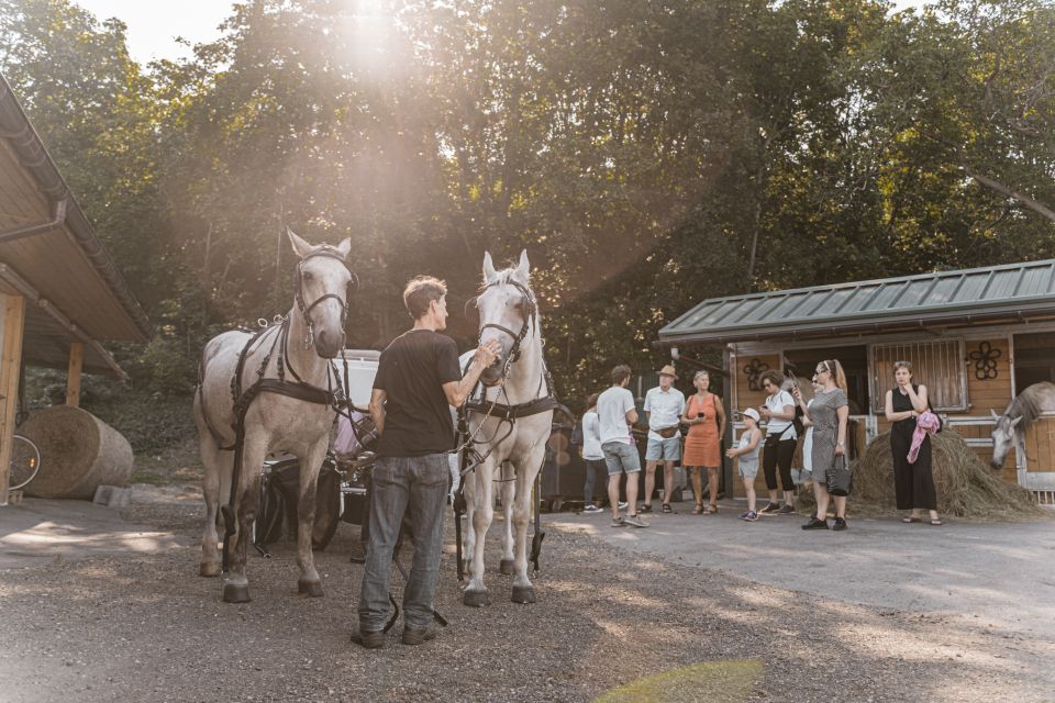 Vienna: Secrets of the Fiaker & Horse-Drawn Carriage Ride - Carriage Ride to City Center