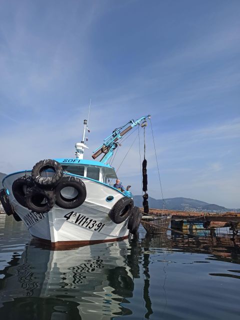 Vigo: Bay of San Simón Mussel Farming Tour - Historic Events in Area