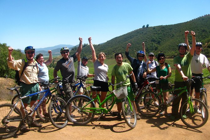 Vine and Dine Bicycle Wine Tour With Lunch - Cancellation Policy