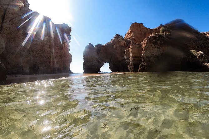 Visit Secret Caves, Hidden Beaches and Snorkel in Alvor, Portugal - Snorkeling Among Aquatic Species