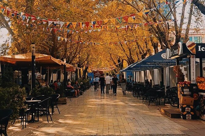 Walking Tour of Tirana - Accessibility