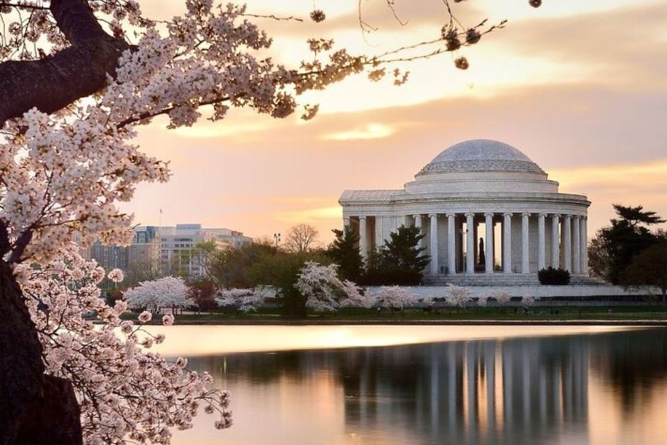 Washington Dc: Private Custom Tour With a Local Guide - Customer Ratings and Feedback