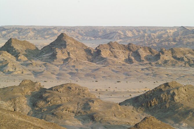 Welwitschia Tour From Swakopmund - Accessibility and Child Policy