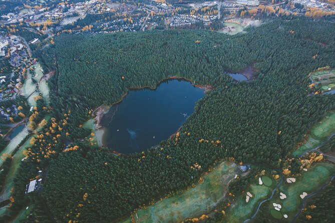 Whistler Helicopter Tour - Weight Restrictions and Accessibility