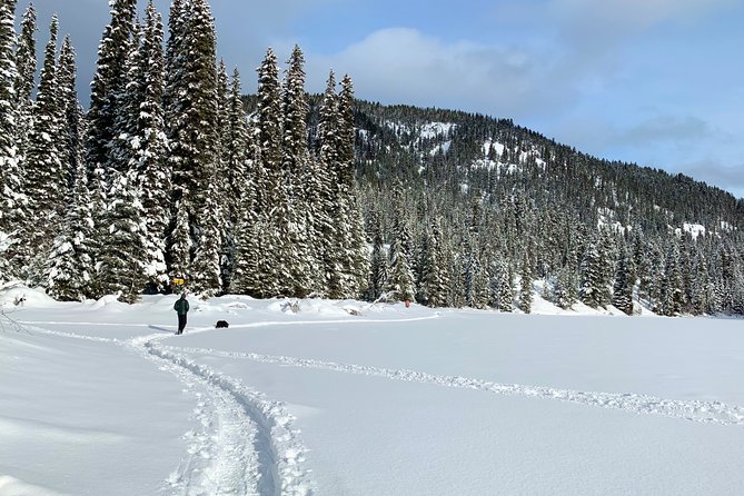 Whistler Lost Lake Snowshoeing and Village Tour - Discovering Lost Lake