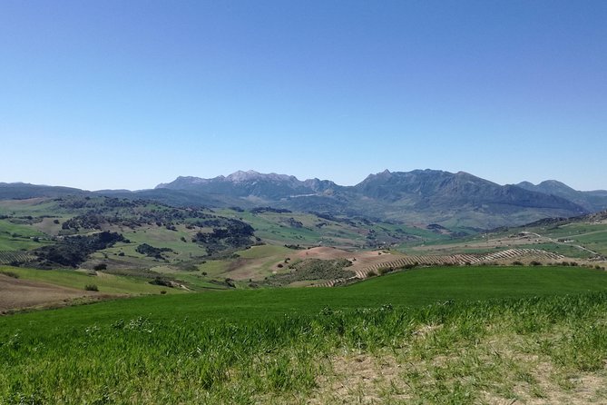 White Villages and Ronda Day Trip From Seville - Experiencing the Tagus Gorge