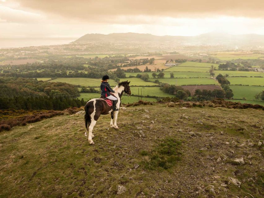 Wicklow: Private Day Tour From Dublin - Scenic Drive Through Wicklow Mountains