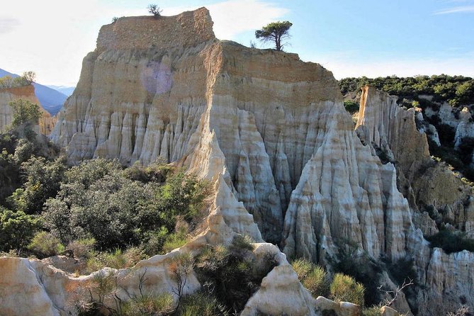 Wild Organs: Grand Landscape, Plants, Geology, Birdsongs - Exploring the Landscape