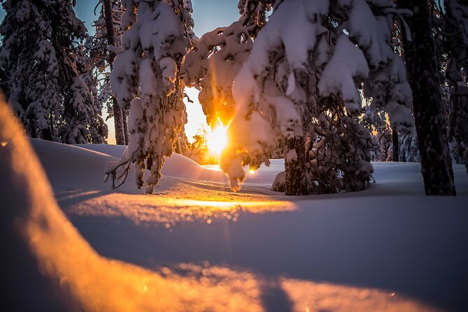 Wilderness Snowshoe Adventure - Snowshoeing in the Arctic