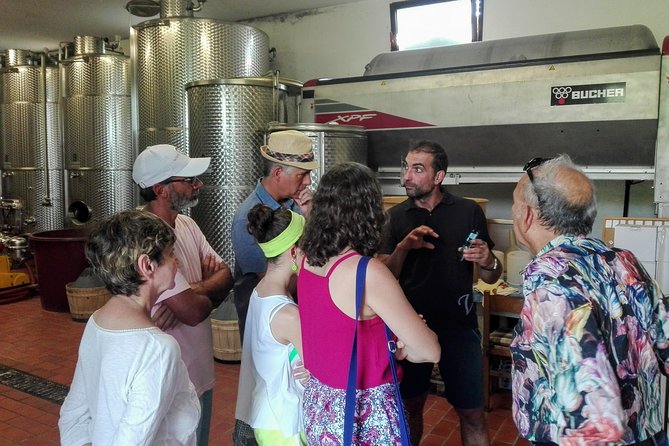 Wine and Food Tour in the Prosecco Hills From Venice - Additional Information