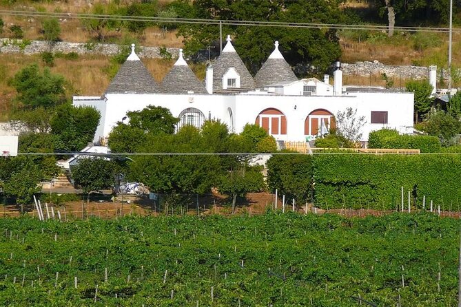 Wine Ostuni, Tour of an Apulian Winery With Traditional Lunch or Aperitivo - Meeting and Pickup Logistics