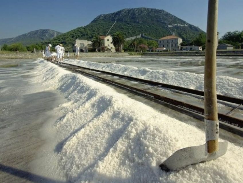 Wine & Oysters Tasting - Pelješac Peninsula - Private Group Option