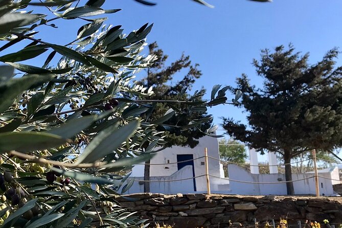 Wine Tasting and Tour in Saint Anna Winery in Naxos - 95 Positive Reviews