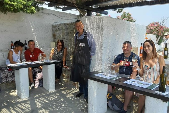 Wine Tasting Tour at a Traditional Farm in Mykonos - Tasting at the Mykonian Farm