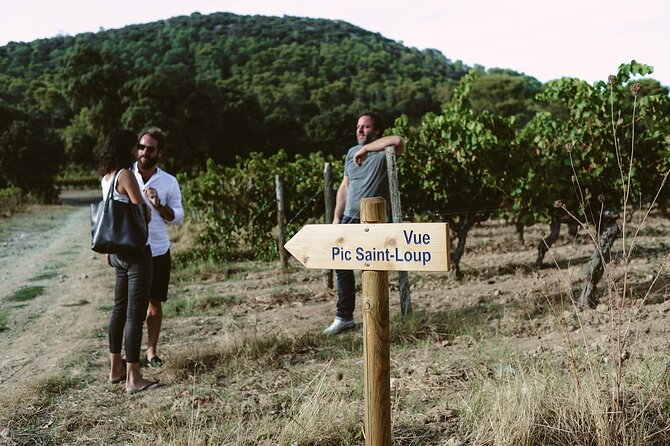 Wine Tour & Food Experience in Pic St Loup - Homemade Lunch Experience