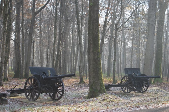 WWI Belleau Wood & Meaux Museum of the Great War Private Day Trip From Paris - Visit Belleau Wood