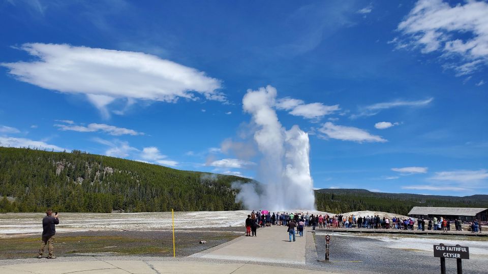 Yellowstone: Bespoke Photo Tour - Summer - Requirements and Restrictions