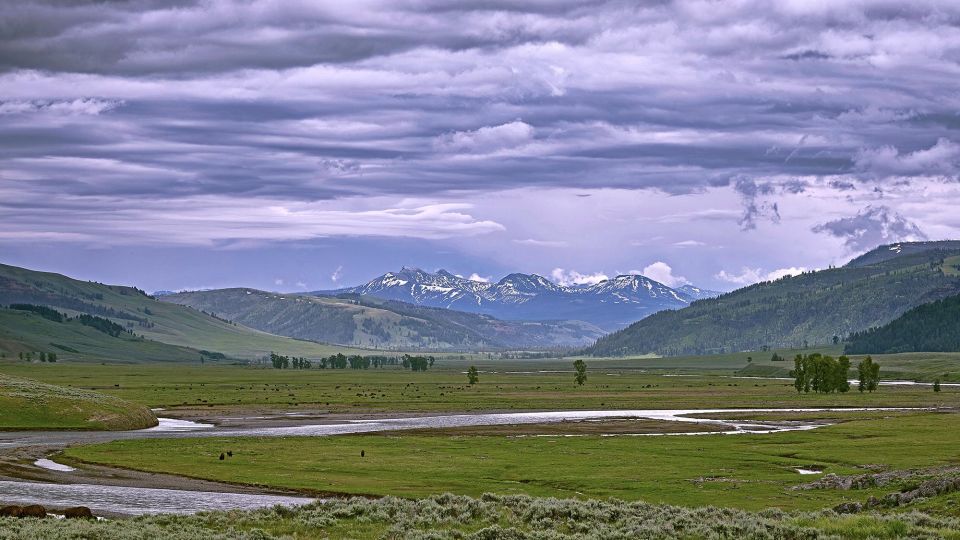 Yellowstone: Bespoke Photo Tour - Winter - Booking and Policies