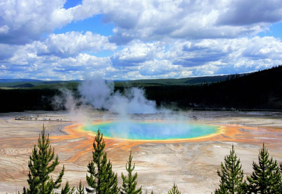 Yellowstone: Winter Wildlife & Snowshoe Adventure - Round-trip Transportation Included