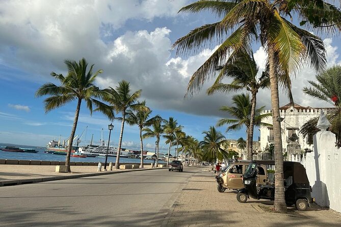 Zanzibar Stone Town Highlight Walking Tour - Traveler Reviews