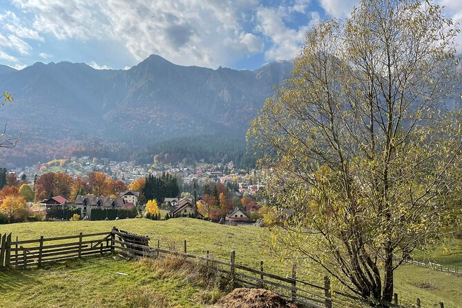 1 Day ATV Tour in Carpathian Mountains - Reservation and Cancellation