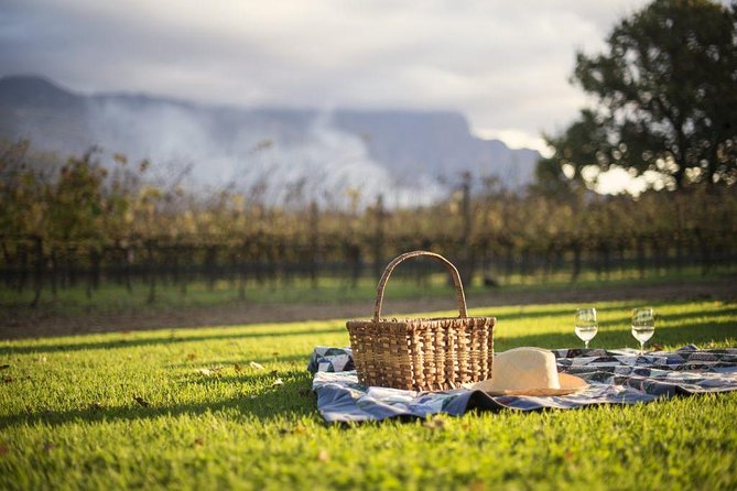 1 Day Winelands Explore - Cape Wine Region With Private Transfer - Highlights of the Tour