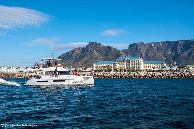 1 Hour Coastal Catamaran Cruise From Cape Town - Departure Times