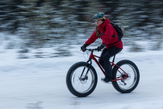 1-Hour Guided Group Fat Bike Tour - Tour Capacity and Logistics