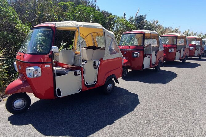 1 Hour Private Tuk-Tuk Tour in Sintra - Customer Feedback