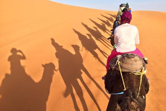 1 Night in Desert Merzouga With Camel Trek - Erg-Chebbi, Morocco - Sandboarding Activities