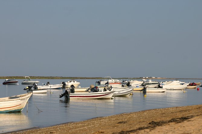 1 or 2 Hour Speed Boat Tour - Ria Formosa - Safety Considerations