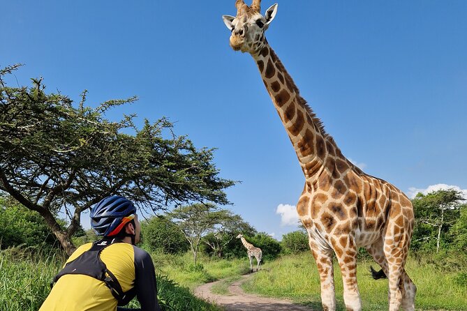 2 Days Cycling Safari To Lake Mburo National Park - Cycling Safari Highlights