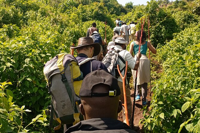 2 Days Sipi Falls Hike and Coffee Tour - Hike and Waterfall