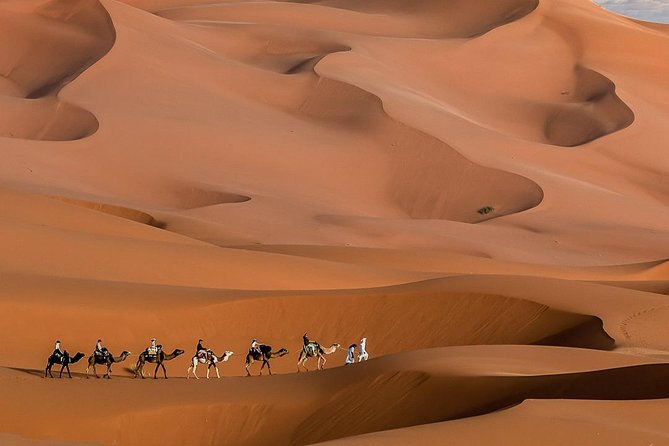 3 Day Marrakech to Fes Desert Tour - Camel Trek - Camel Trekking in the Desert