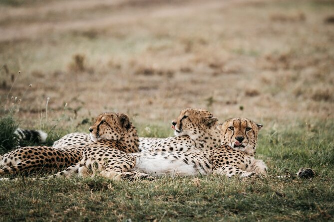 3-Day Masai Mara Luxury Safari - Medical and Emergency Support