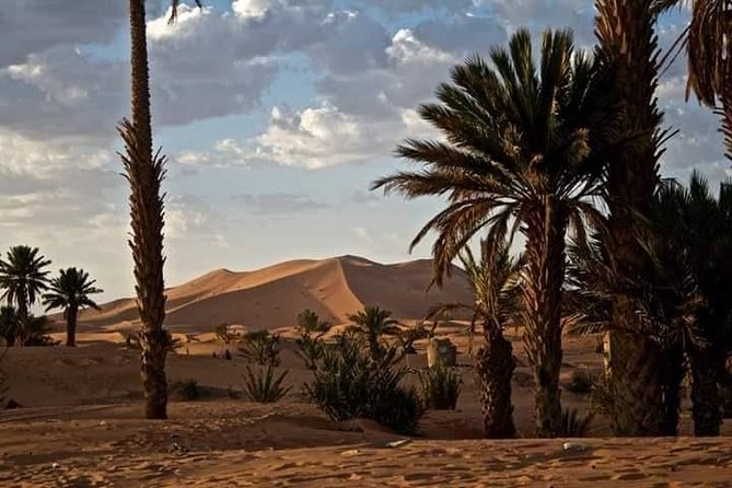 3 Days Luxury Private Desert Tour From Fez to Marrakech - Immersion in Berber Culture