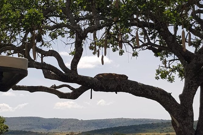 3 Days Masai Mara Safari Group Joining (Daily Departures) - Medical Considerations