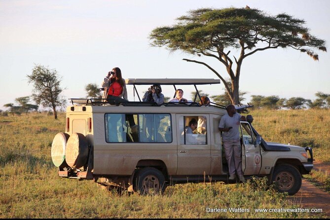 3 Days Safari Ngorongoro Crater and Serengeti National Park - Itinerary and Activities