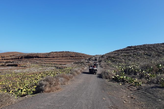 3-Hour Buggy Tour From Costa Teguise - Cancellation and Refund Policy