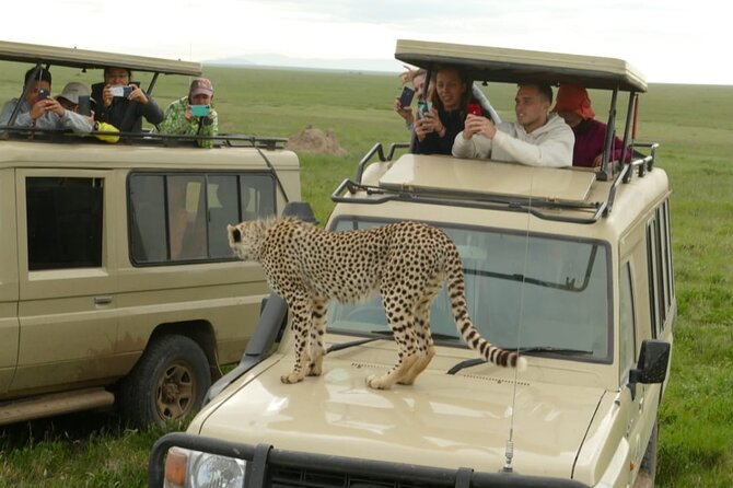 4 Days Join Group Tour Tarangire Serengeti and Ngorongoro Crater - Transportation and Accommodation Included